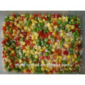 Best quality frozen mixed vegetables